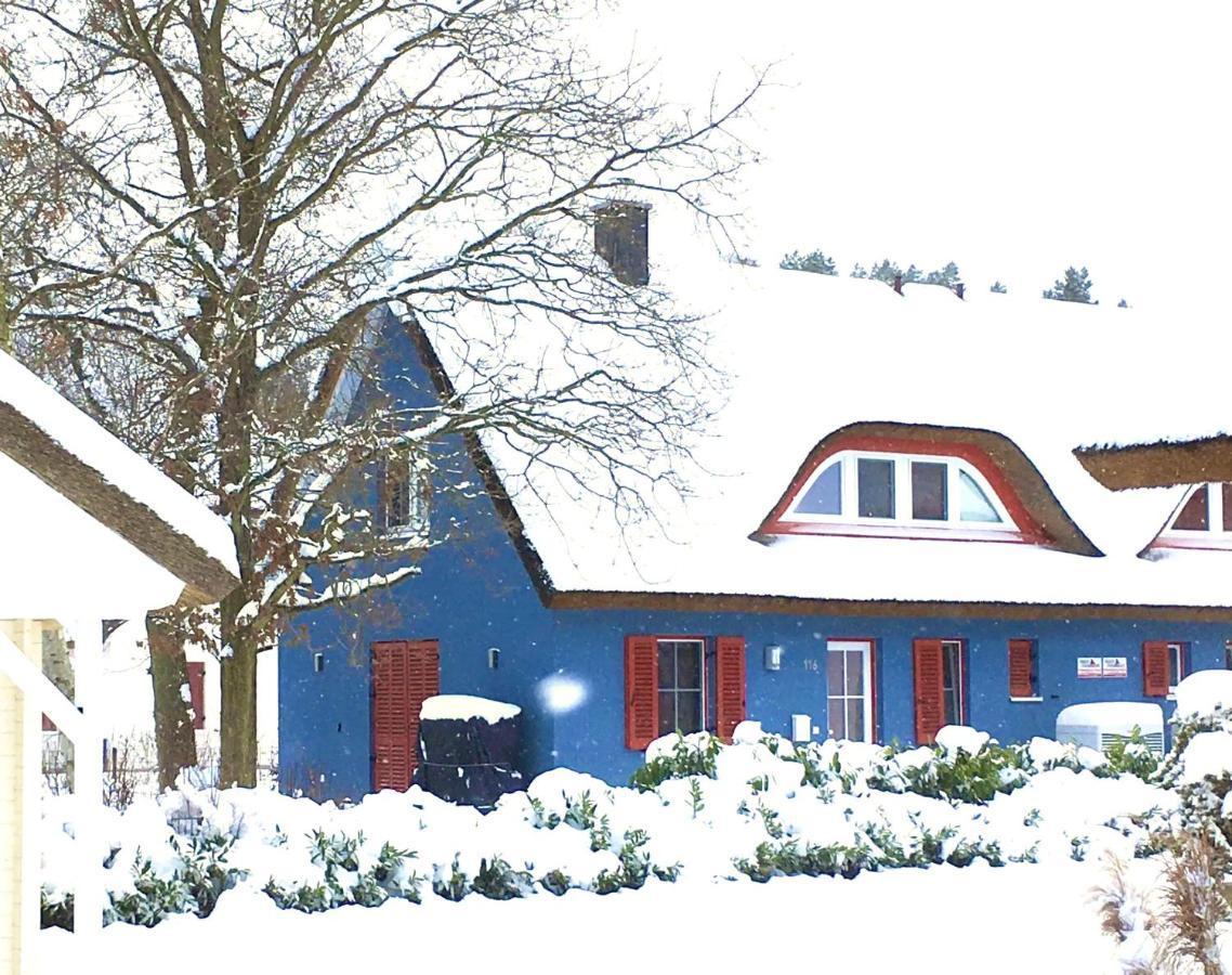 Strandhaus Lucky, Sauna, Garten, Kamin, Strandnah โกลเวอ ภายนอก รูปภาพ